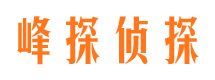 盐源峰探私家侦探公司